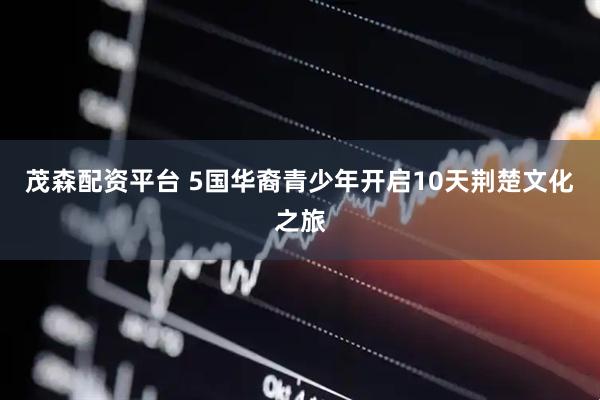 茂森配资平台 5国华裔青少年开启10天荆楚文化之旅